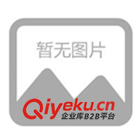 供應(yīng)奧斯邦RTV（silicone）硅橡膠，有機(jī)硅